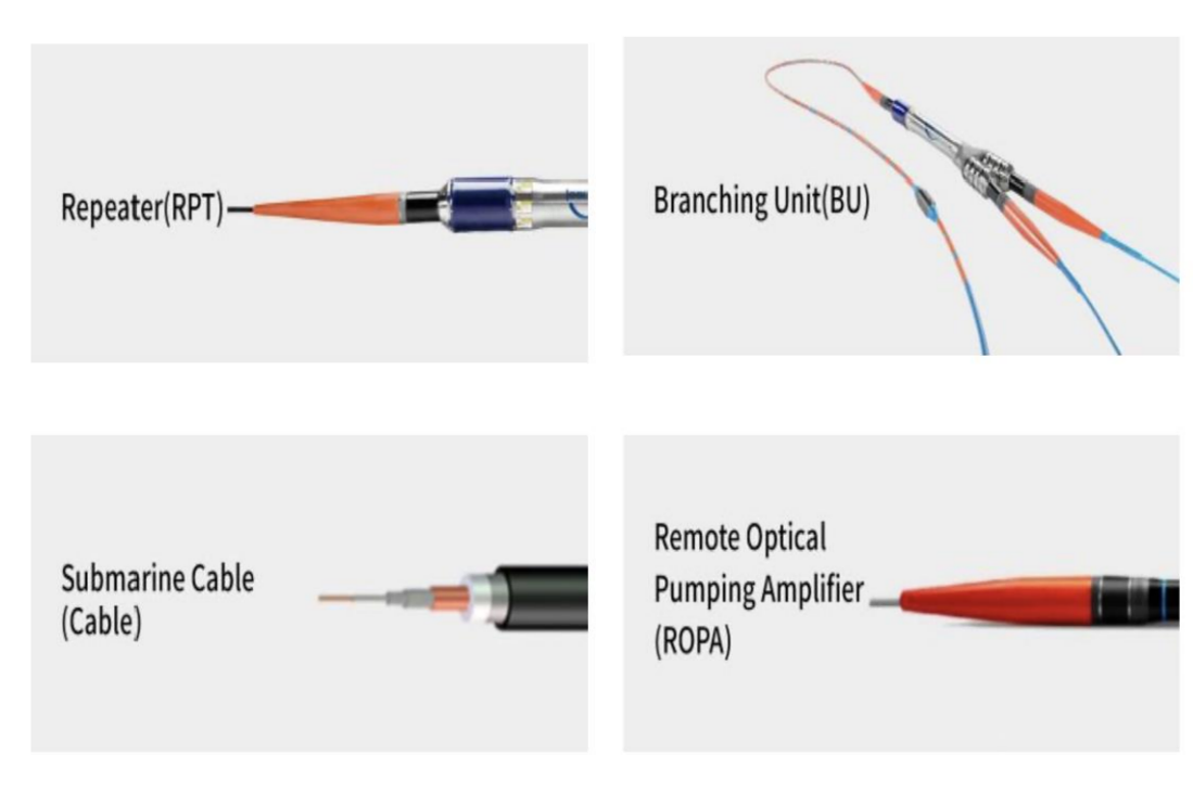 Global Tier-1 Manufacturers